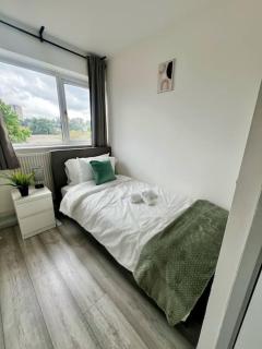 Spacious Home in Wandsworth - Londra - 4