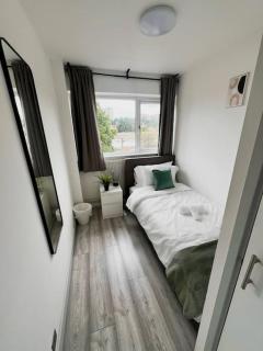 Spacious Home in Wandsworth - Londra - 3