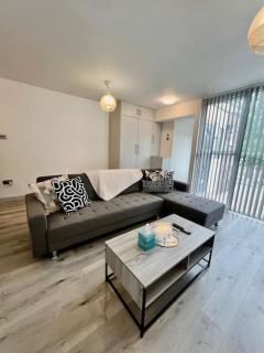 Spacious Home in Wandsworth - Londra - 9