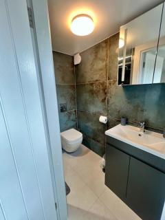 Spacious Home in Wandsworth - Londra - 1