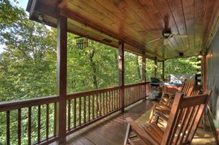 Bearfoot Ridge Wood-burning fireplace cozy hot tub serene views - Ellijay - 4