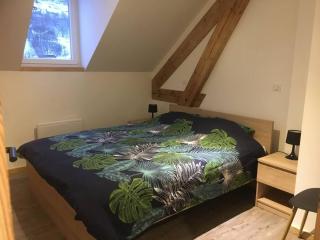 Appartement Des 2 Vallées,proche de tous commerces - La Bresse - 2