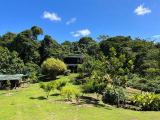 La Cueva del Sapo Experience a genuine countryside farm wooden house - Horquetas - 7