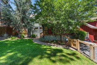 Bluebird Day - Hartford Haven - 9