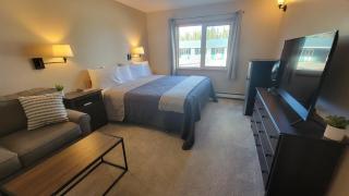The Golden Bear Motel - Tok - 5