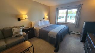 The Golden Bear Motel - Tok - 4