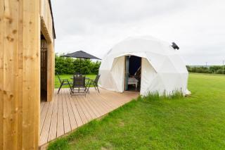 New Holland Dome - 8