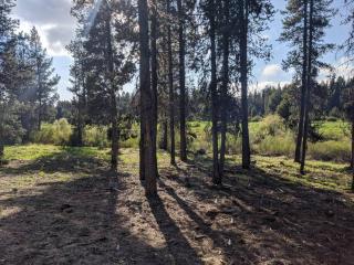 Wild Woods - Cascades Riverside Retreat - 4