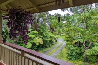 Local Living in Volcano Hawaii Breeze&5 mins to Volcano National Park - 3