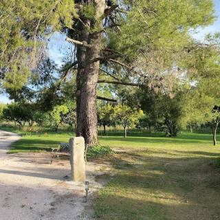 le 1387 l'étape en Provence - Plan-dʼOrgon - 7