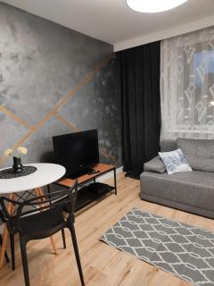 Apartamenty Rzeczypospolitej 11 - 9