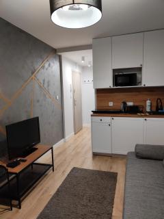 Apartamenty Rzeczypospolitej 11 - Danzig - 8