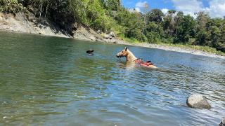 Hacienda Monteclaro - Turrialba - 3
