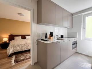 Bright Apartment in Oerlikon-Zurich 102-16 - 1