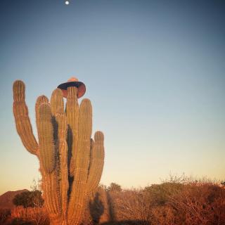 Baja Tranquilo - Villas Cerritos - 4