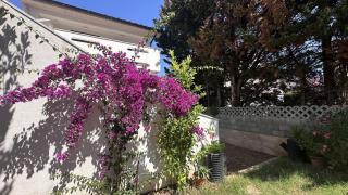 Apartments with a parking space Novalja, Pag - 23367 - Novalja - 4