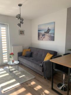 Prestige Apartment of Diasfera - Łódź - 4