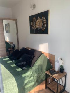 Prestige Apartment of Diasfera - Łódź - 1