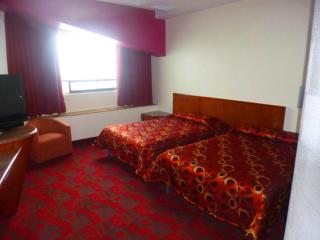 Hotel Mandarin Carton - Mexico City - 6