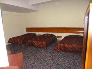 Hotel Mandarin Carton - Mexico City - 1