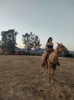 Rancho los Amigos Cabin Lodge - Ensenada - 7