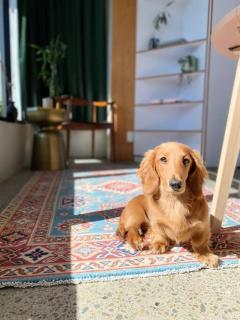 Cosy Penthouse Apartment - 0