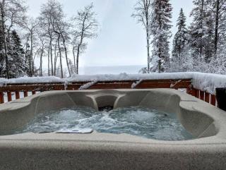Eagles' Nest - Lakefront Private Beach Hot Tub - 0