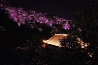 Crowne Plaza Yibin by IHG - 4