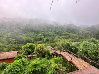 Homdoi homestay - หอมดอยโฮมสเตย์ - Ban Thung - 3
