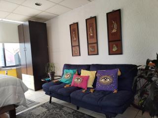 Suite Reforma Ahuehuete - 3