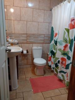 Casa Lago Ranco - Lago Ranco - 7