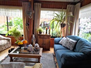 Casa Lago Ranco - Lago Ranco - 2
