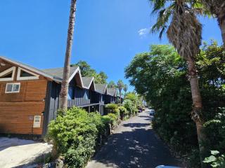 Tree Story Pension - 7