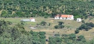 House near Elvas on Olive Farm - Monte do Falcato - 7
