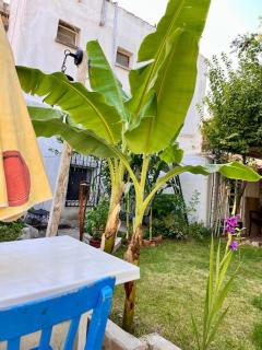 Stay in a Historical House in Alaçatı Çarşı - Alaçatı - 5