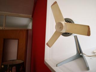 Rez de jardin en bordure de ruisseau - 7