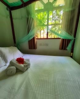 Hikkaduwa Green Villa - Hikkaduwa - 5