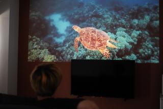 沖縄空手ホテル アイオライト豊見城 - 8