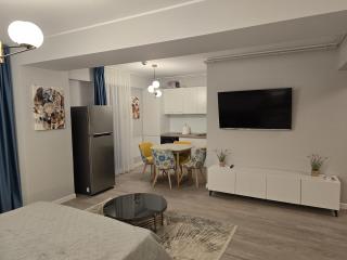 Zora Blue Studio - Năvodari - 1