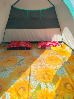 Shnongpdeng Riverview Campsite - Dawki - 3
