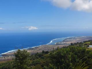 wall nature et sensation - 2