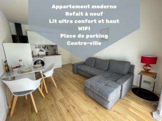 Le Lagon bleu - Appt WIFI Parking Balcon - Le Puy-en-Velay - 0