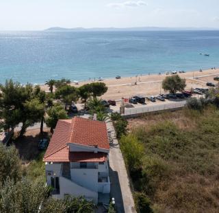 Acapus Studios - Toroni - 1
