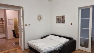 Apartment Krakovska 20 - Praga - 5