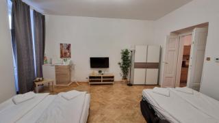 Apartment Krakovska 20 - Praga - 2