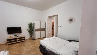 Apartment Krakovska 20 - Praga - 0