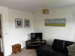 2 Bedroom Eco House with South Facing Balcony - Nottingham - 2