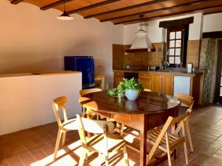 Stone House in Wine Territory - Capmany - 4