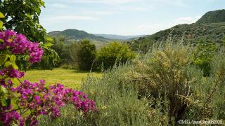 Casa La Negra - Periana - 7