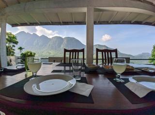 Camellia Mountain Villa - 3